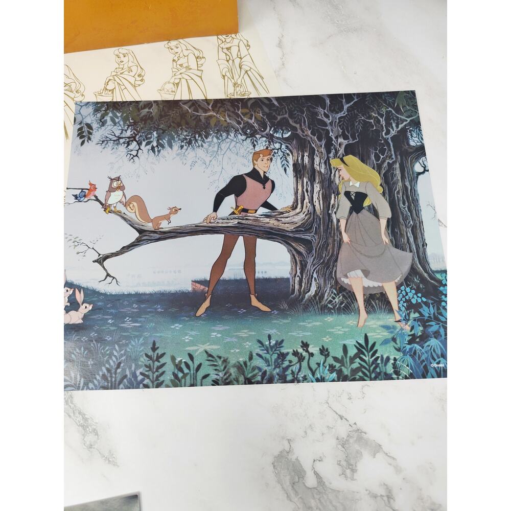 Disney Movie Awards Sleeping Beauty Movie Cells & Lithographs 🌹 Well Worn - Picture 3 of 5